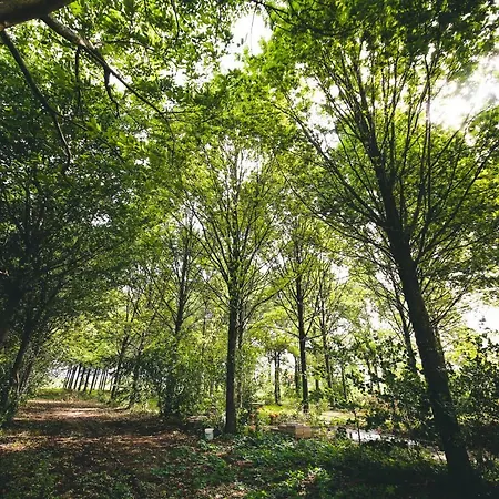 Guest house Fuoricitta