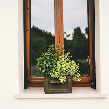 Pensión Fuoricitta Povegliano Veronese