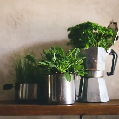 Fuoricitta Pensión 3*