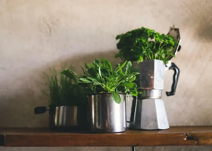 Fuoricittà Affittacamere 3*